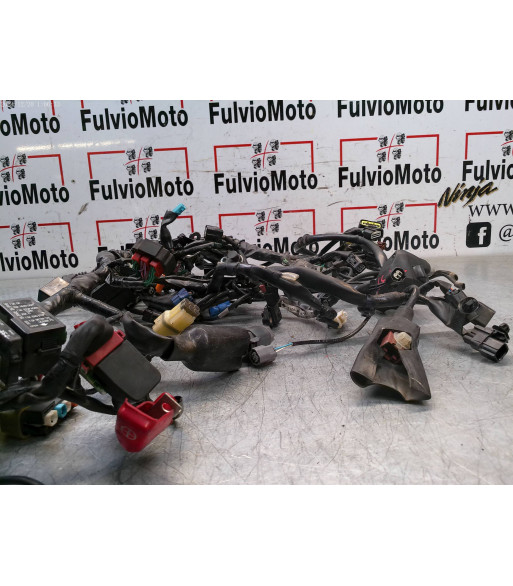 Faisceau électrique HONDA CB 650 FA - 2015