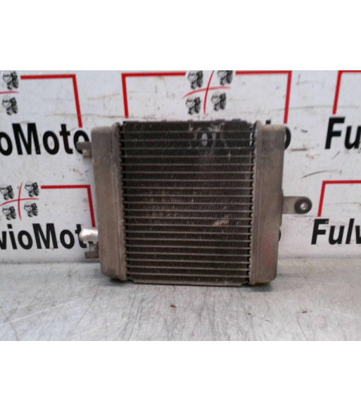 Radiateur d'eau SUZUKI BURGMAN 125 - 2016