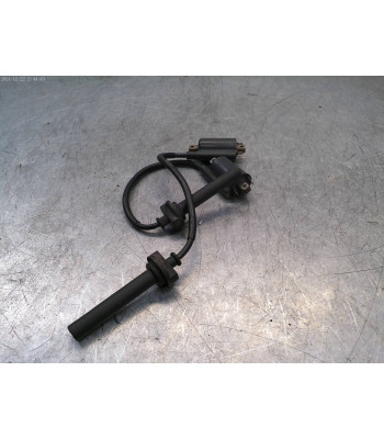 Bobine allumage YAMAHA TDM 900 - 2002