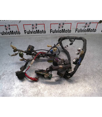 Faisceau électrique YAMAHA TDM 900 - 2002