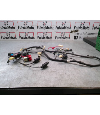 Faisceau électrique TNT halo - 2022