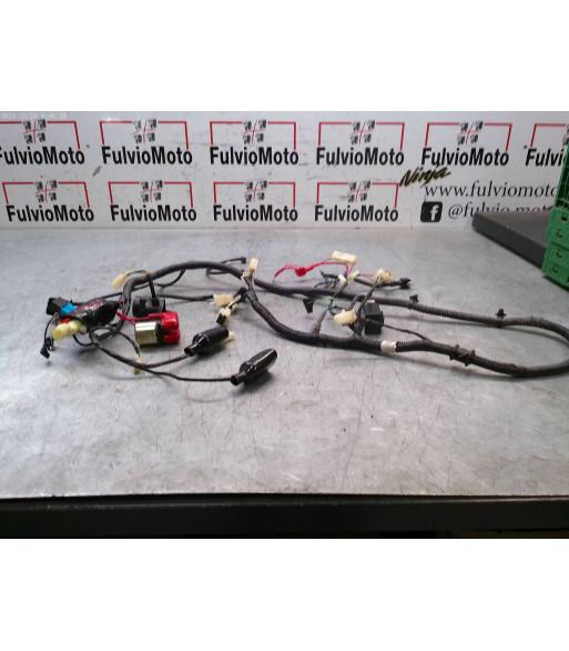 Faisceau électrique TNT halo - 2022