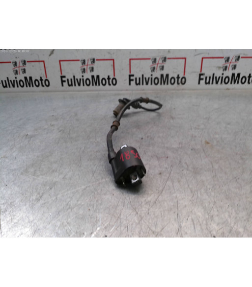 Bobine allumage TNT halo - 2022