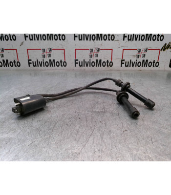 Bobine allumage YAMAHA T-MAX 530 - 2015