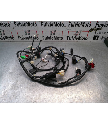 Faisceau électrique JM MOTORS SANTANA 125 - 2024