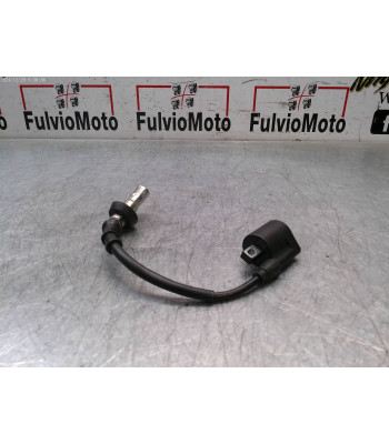 Bobine allumage JM MOTORS SANTANA 125 - 2024
