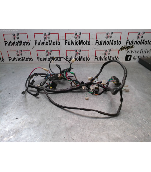 Faisceau électrique PEUGEOT KISBEE 50 - 2018