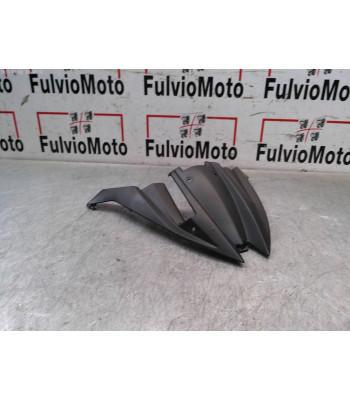 Support bulle KAWASAKI ER6 F - 2015