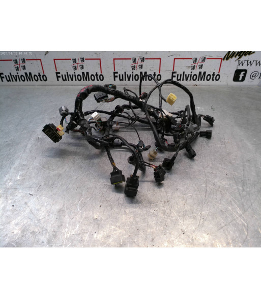 Faisceau électrique KAWASAKI ER6 F - 2015