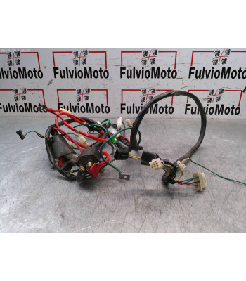 Faisceau électrique SYM x-pro 50 - 2017