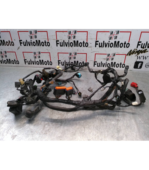 Faisceau électrique KAWASAKI Z650 - 2017 Faisceau électrique KAWASAKI Z650 - 2017