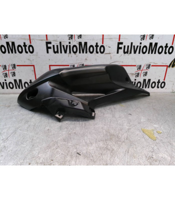 Ecope Gauche TRIUMPH TIGER 800 - 2011