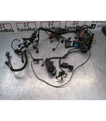 Faisceau électrique TRIUMPH TIGER 800 - 2011