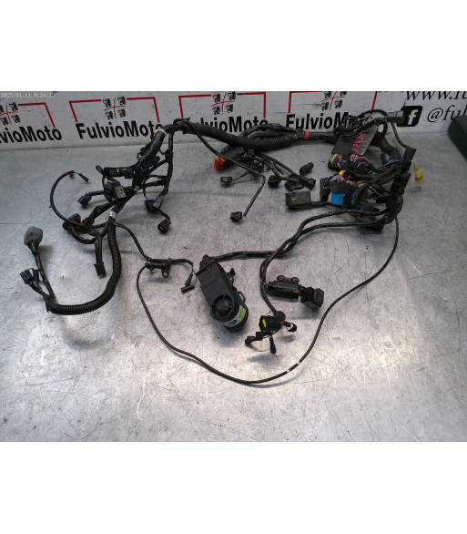 Faisceau électrique TRIUMPH TIGER 800 - 2011