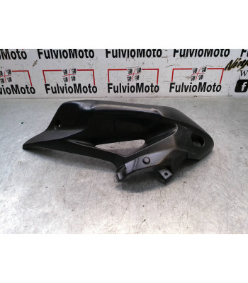 Ecope Gauche TRIUMPH TIGER 800 - 2011