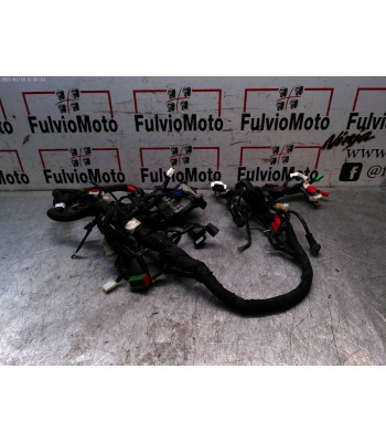 Faisceau électrique KTM DUKE 390 - 2024