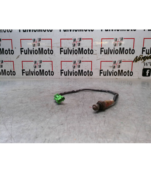 sonda lambda KTM DUKE 390 - 2024