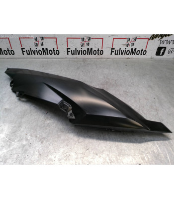 Flanc de carénage Arrière Droit BMW C EVOLUTION ELECTRIQUE - 2018