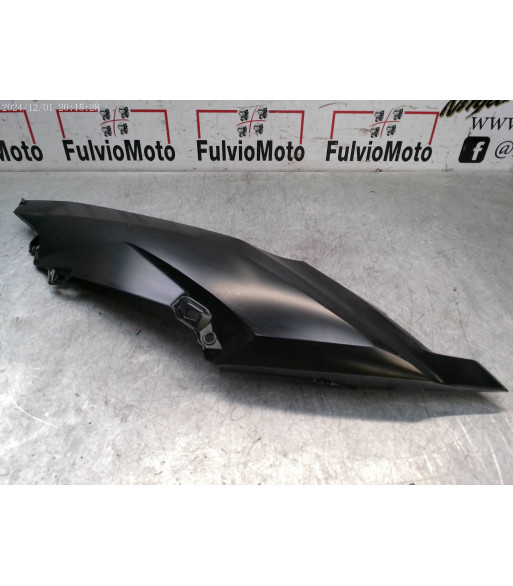 Flanc de carénage Arrière Droit BMW C EVOLUTION ELECTRIQUE - 2018