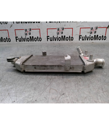 Radiateur d'eau BMW C EVOLUTION ELECTRIQUE - 2018