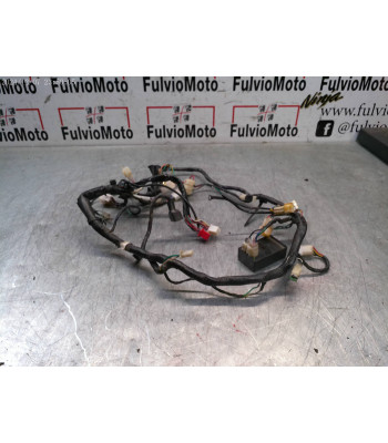 Faisceau électrique HONDA MSX 125 - 2015