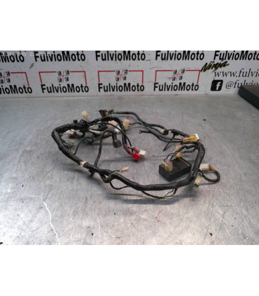 Faisceau électrique HONDA MSX 125 - 2015