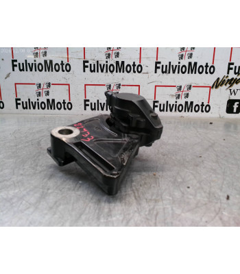 Platine repose pied Arrière SUZUKI BANDIT 650 - 2005