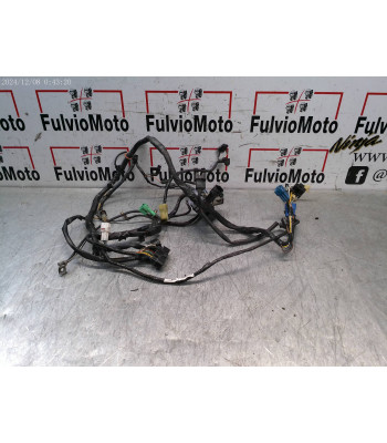 Faisceau électrique SUZUKI BANDIT 650 - 2005