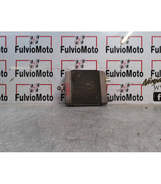 Radiateur d'eau SUZUKI BURGMAN 125 - 2014