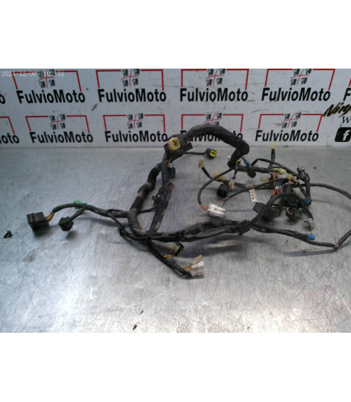 Faisceau électrique SUZUKI BURGMAN 125 - 2014