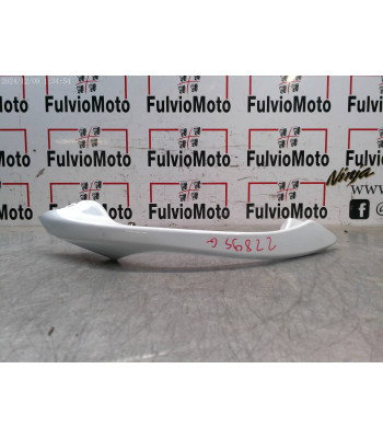 Barre maintien passager Gauche SUZUKI BURGMAN EXECUTIVE 650 - 2013