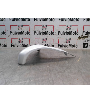 V de carénage SUZUKI BURGMAN EXECUTIVE 650 - 2013