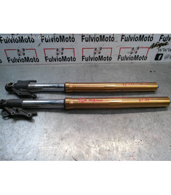 Tube de fourche LOT TRIUMPH TIGER 1200 - 2012-2015