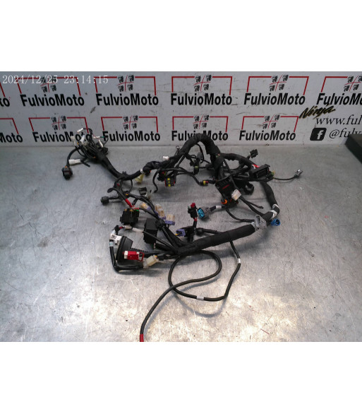 Faisceau électrique KTM SUPER DUKE R 890 - 2024