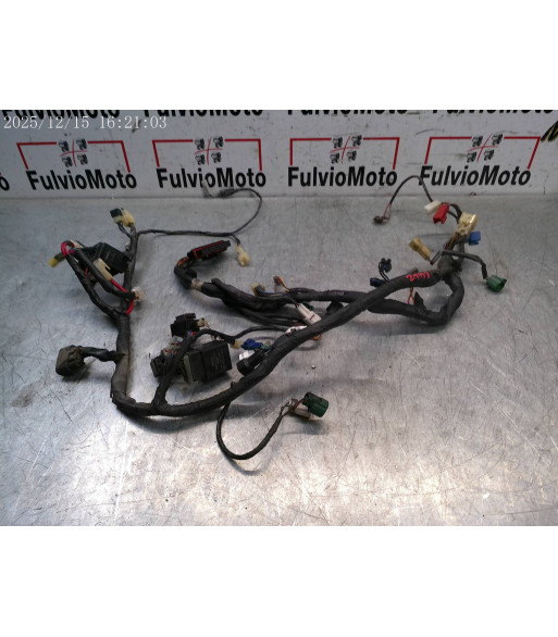 Faisceau électrique YAMAHA TDM 900 - 2002 Faisceau électrique YAMAHA TDM 900 - 2002