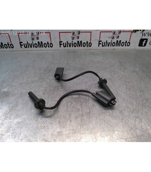 Bobine allumage YAMAHA TDM 900 - 2002
