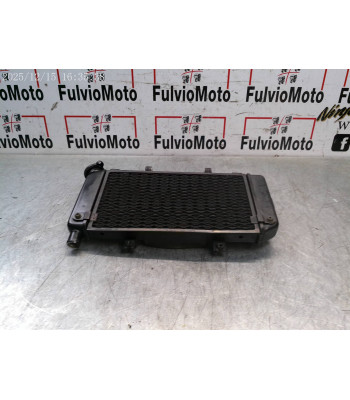 Radiateur d'eau YAMAHA TDM 900 - 2002