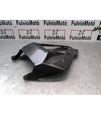 Coque arrière BMW S1000RR - 2012