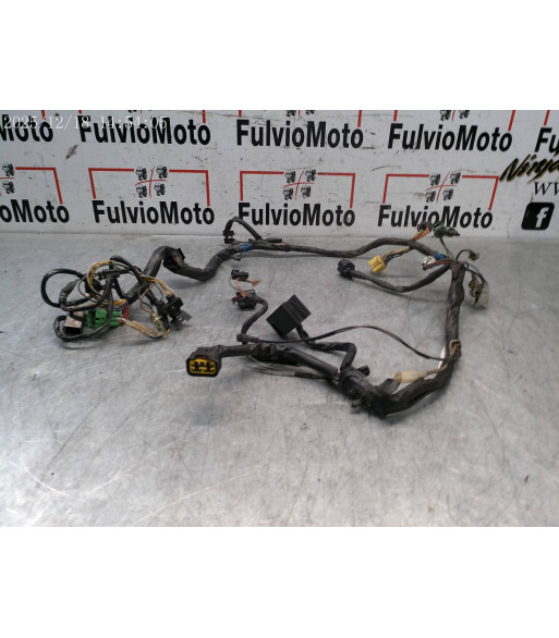 Faisceau électrique SUZUKI MARAUDER 125 - 1999