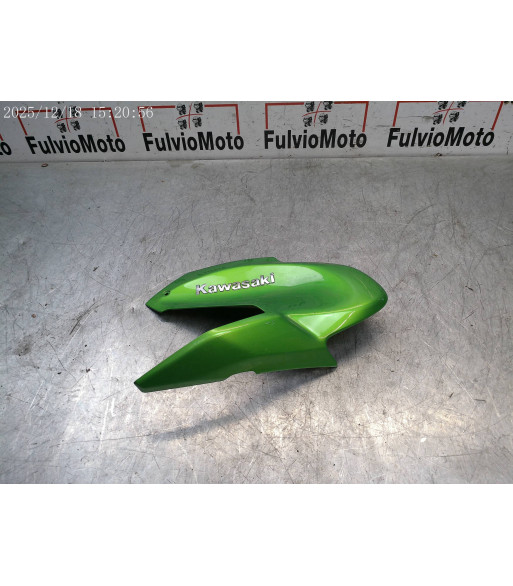 Flanc de reservoir Gauche KAWASAKI Z900 - 2017