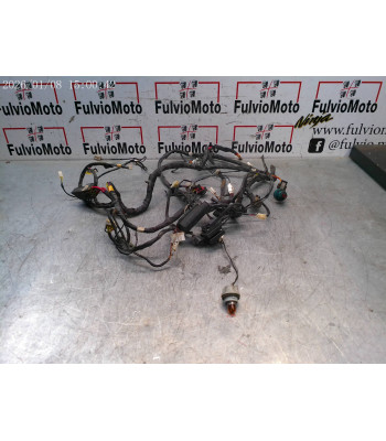 Faisceau électrique Paire PIAGGIO MEDLEY 125 - 2021
