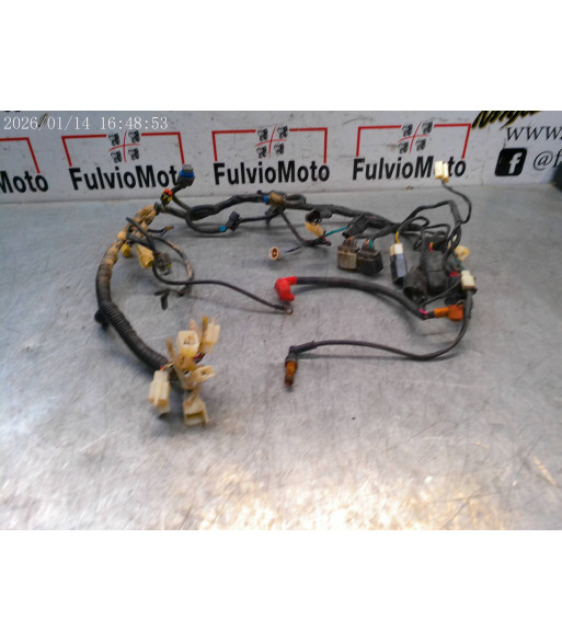 Faisceau électrique MASH QM GY 125 - 2019