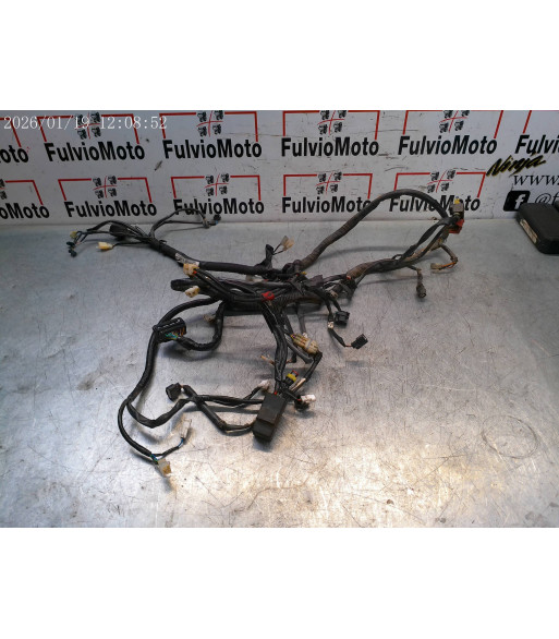 Faisceau électrique YAMAHA NEOS 50 - 2020