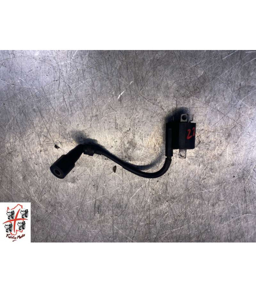 Bobine allumage YAMAHA X-MAX 250 - 2011