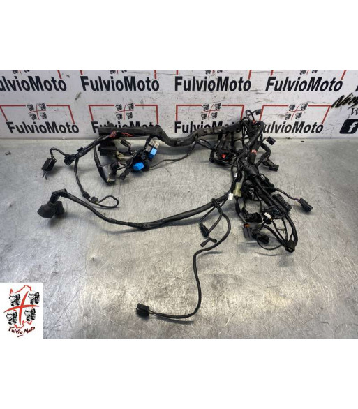 Faisceau électrique TRIUMPH STREET TRIPLE 660 - 2019