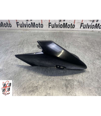 Ecope Droit TRIUMPH STREET TRIPLE 660 - 2019