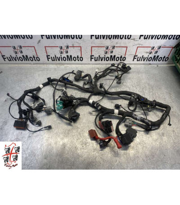 Faisceau électrique CFMOTO SR 450 - 2023