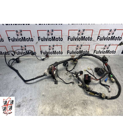 Faisceau électrique YAMAHA FAZER 600 - 2001
