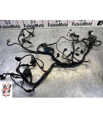 Faisceau électrique DUCATI MONSTER 1000 - 2007