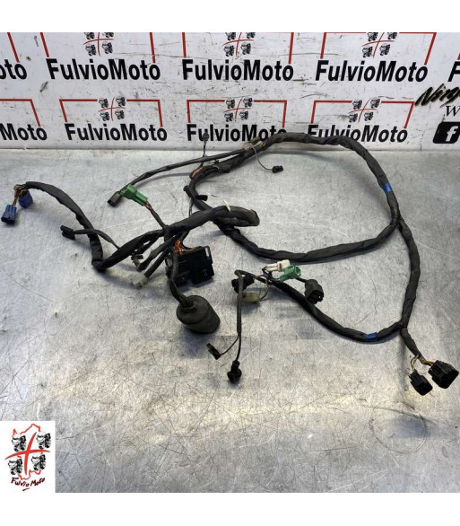 Faisceau électrique SUZUKI BANDIT 650 - 2002